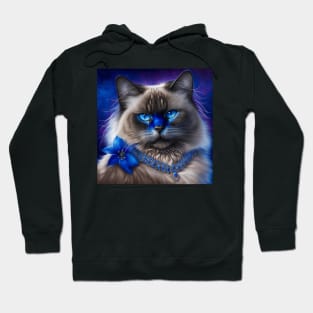 Beauty Ragdoll Cat Hoodie